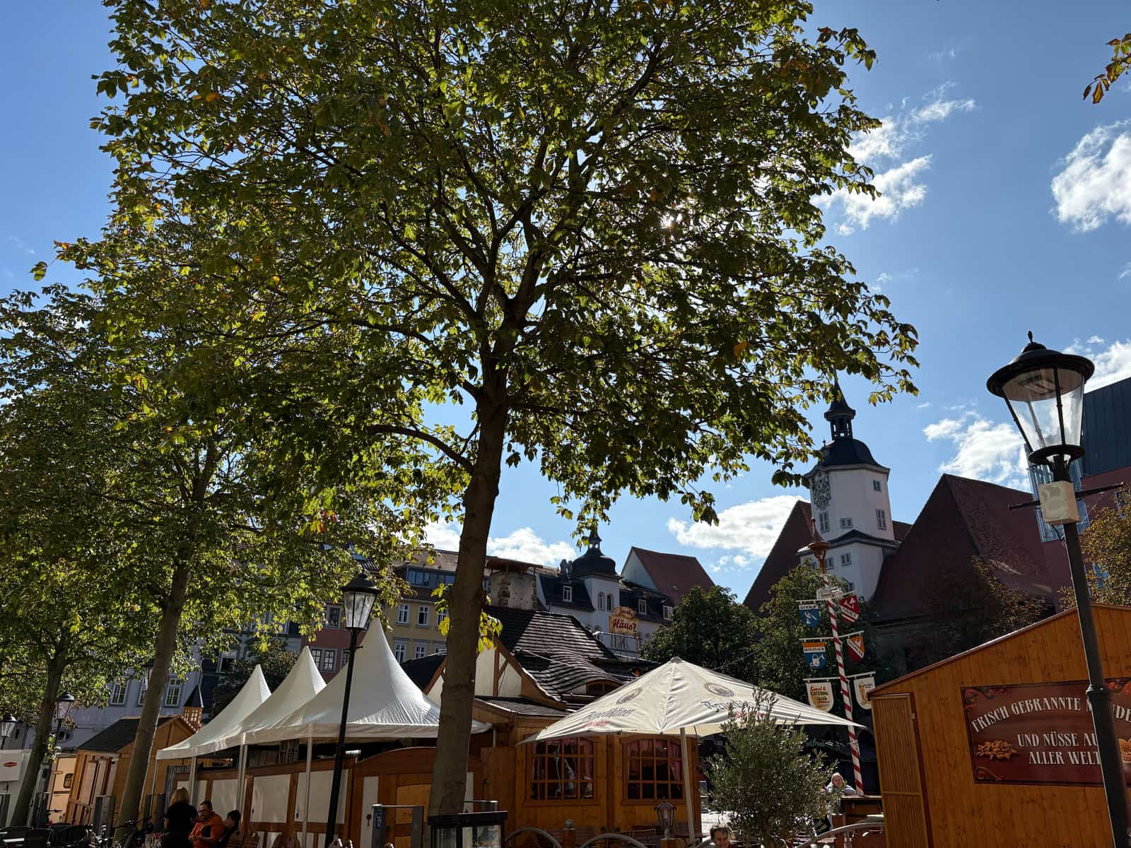 Jena's market square under a tree in full leaf: wooden stalls and white pointed tents, a painted maypole hung with guild signs, and behind them the white Rathaus tower with a clock and a lantern on top